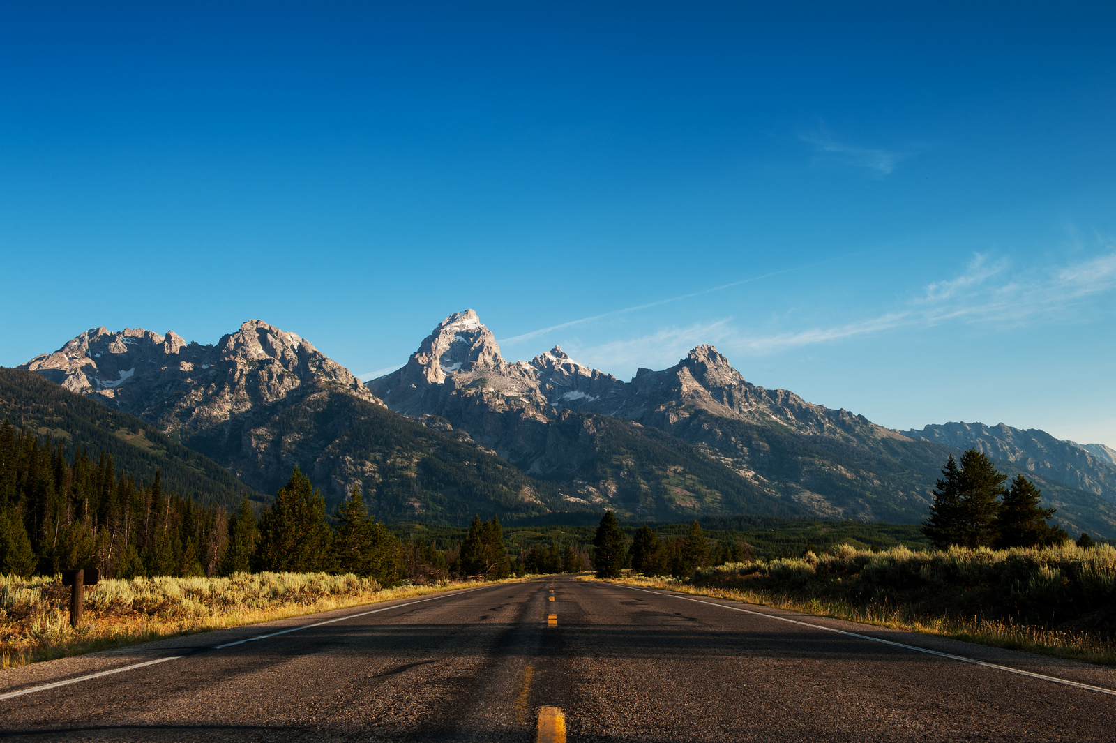 The Ohana Pet Resort